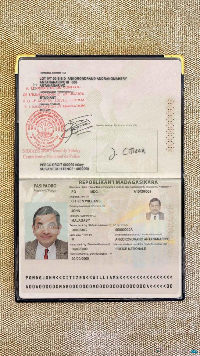 Download Madagascar passport photo look Photoshop template